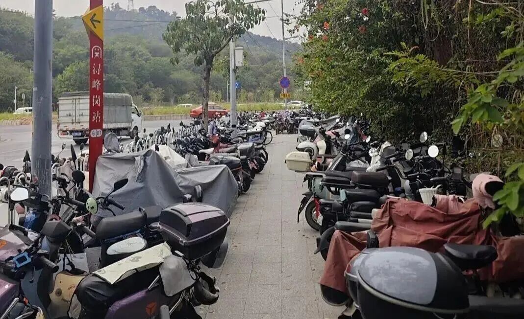 电动自行车增长趋势_广州限行政策_禁行