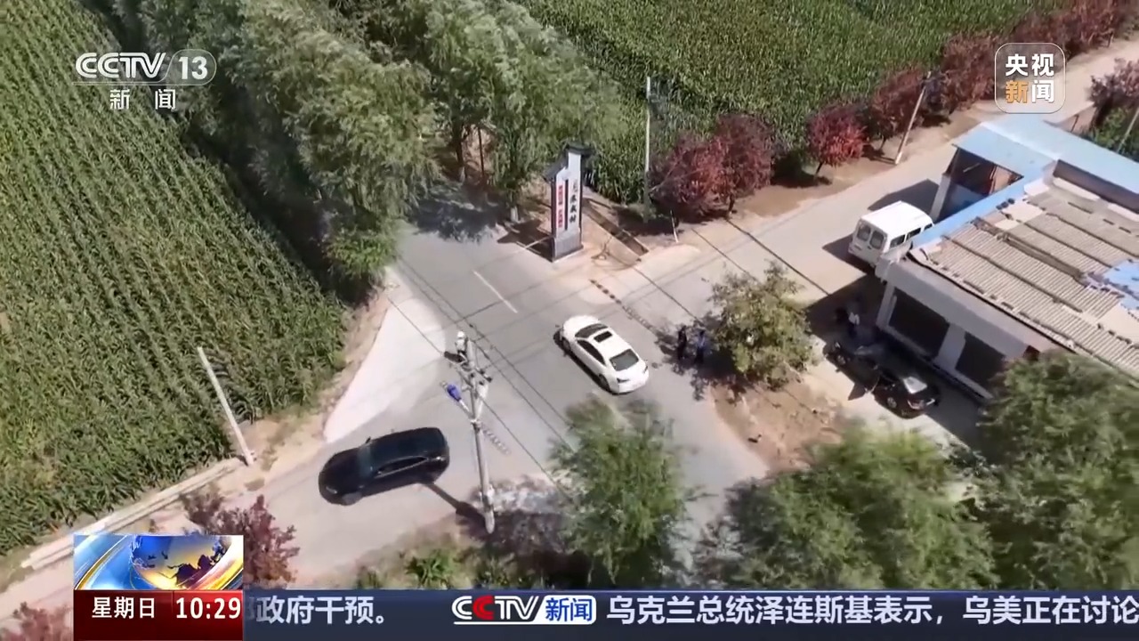 无信号灯路口通行规则_国庆中秋假期交通安全提示_出行提示