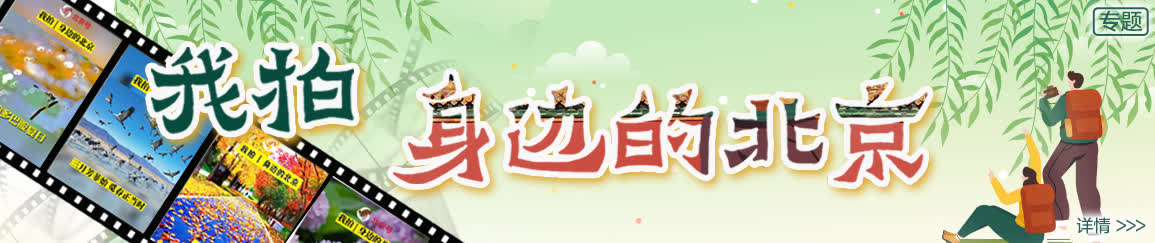 北京限行尾号轮换_元旦北京文化活动_限行