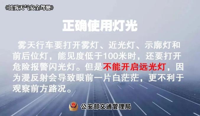 雾天安全行车_出行提示_大雾天气驾驶技巧