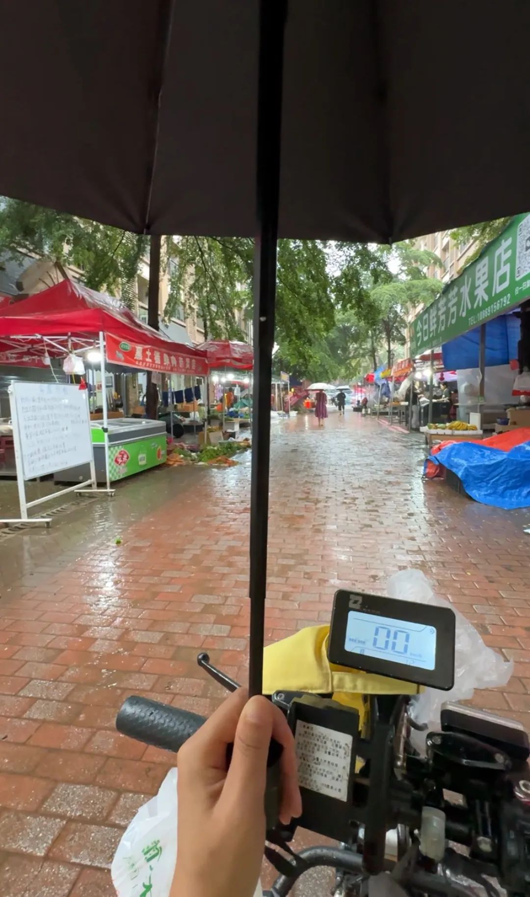 暑期轮椅旅行准备_出行提示_无障碍旅游出行指南