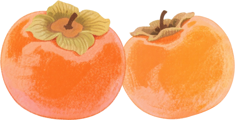 出行提示_秋冬交通安全指南_行人骑行安全注意事项