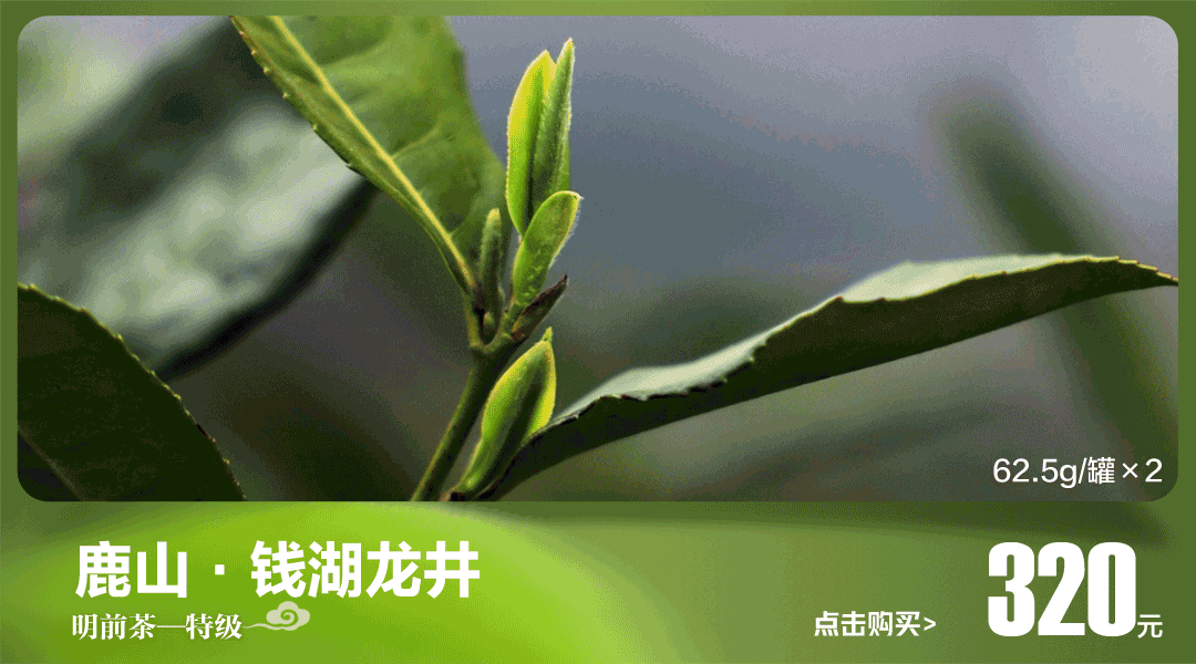 禁行扣几分罚款多少_禁行_禁行违章怎么处罚规定