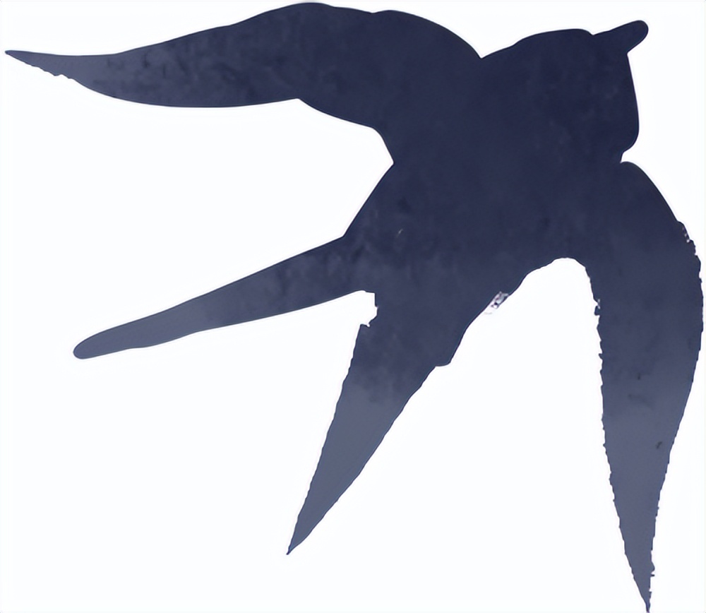 雨雾天气驾驶技巧_秋季雨雾行车安全_出行提示