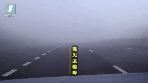 出行提示_秋冬交通安全指南_雨雾天气出行安全