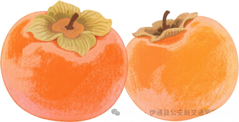 雨雾天气出行安全_秋冬交通安全指南_出行提示