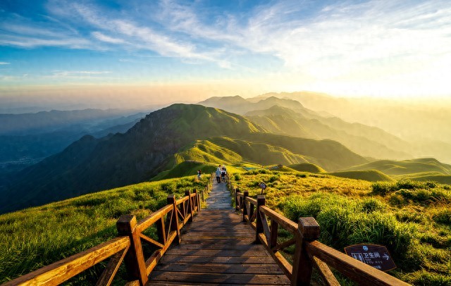 限行_2026新车牌改革_8位号牌分类标识