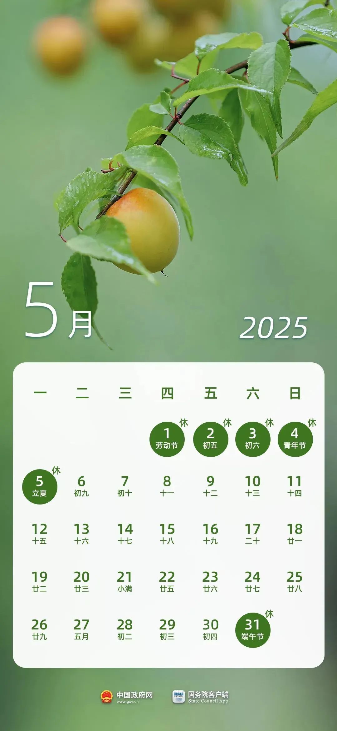 限行_北京市机动车限行调整_2025年端午节交通管理措施