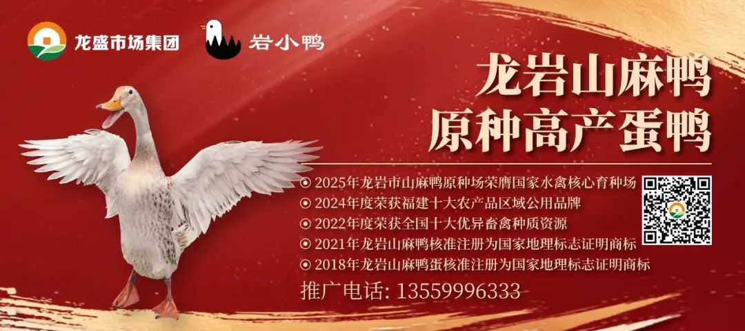 出行提示__ 2025年端午节交通安全提示 