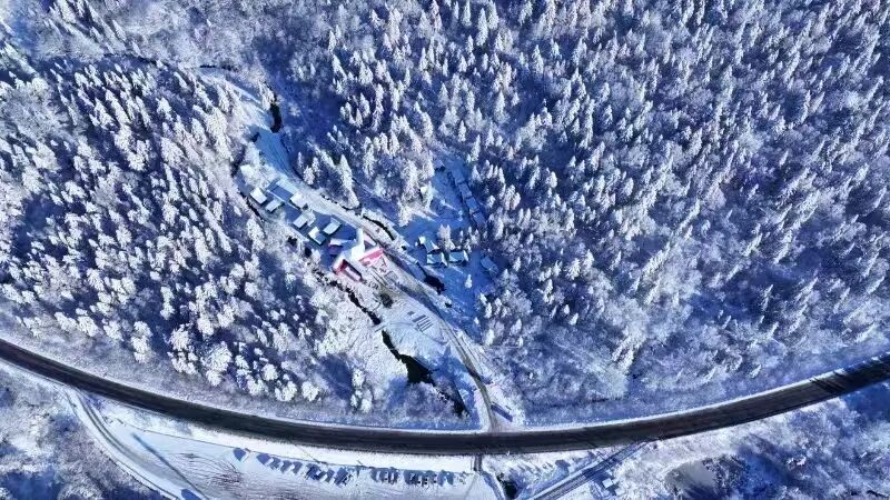 延边元旦假期道路交通安全提示_出行提示_2026年元旦延边交警安全出行攻略