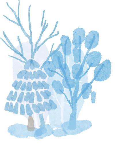 冬季行车安全_雪天驾驶技巧_出行提示