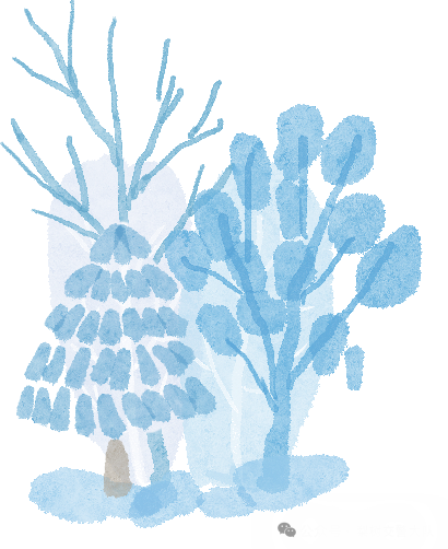 冬季雪雾天气行车安全_冰雪路面驾驶技巧_出行提示