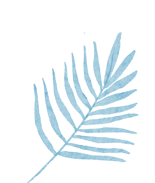 出行提示_冬季延边降雪天气预报_雪天行车安全指南