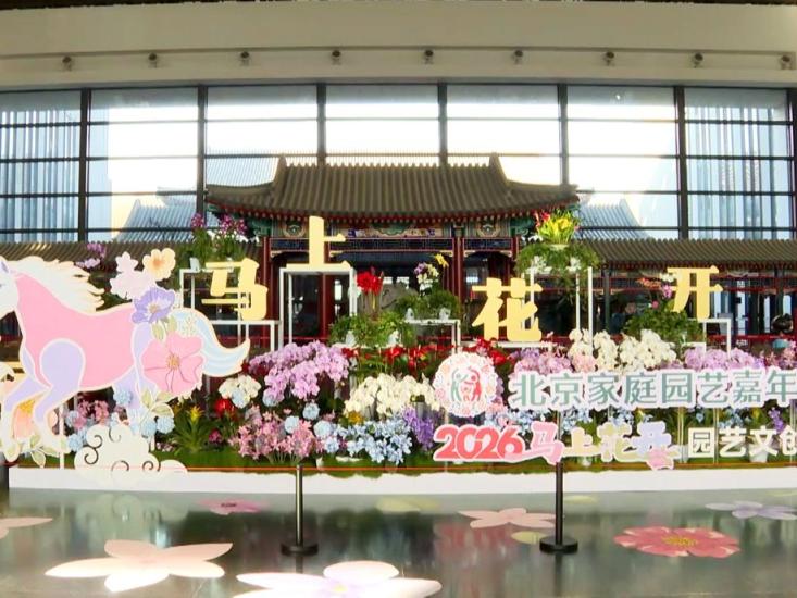 限行北京_限行号牌尾号_限行