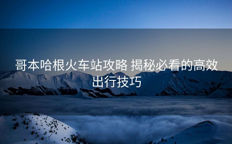 哥本哈根火车站攻略 揭秘必看的高效出行技巧