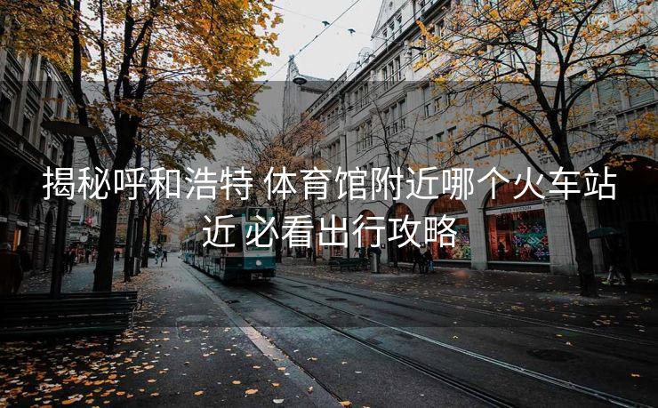揭秘呼和浩特 体育馆附近哪个火车站近 必看出行攻略