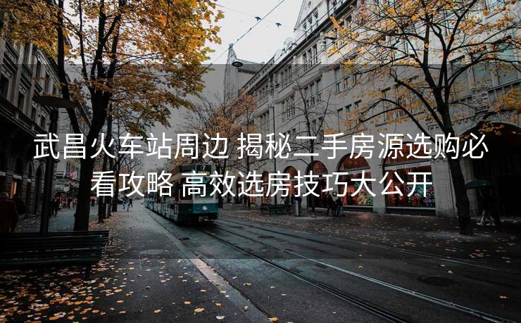 武昌火车站周边 揭秘二手房源选购必看攻略 高效选房技巧大公开