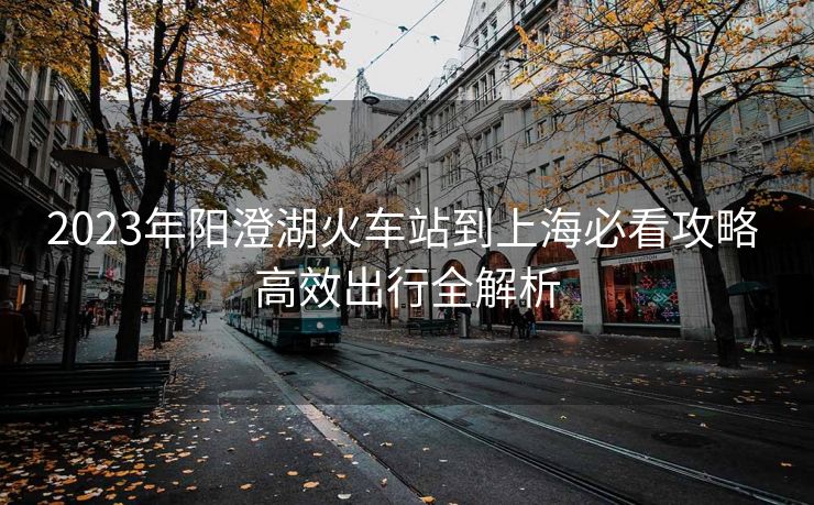 2023年阳澄湖火车站到上海必看攻略 高效出行全解析