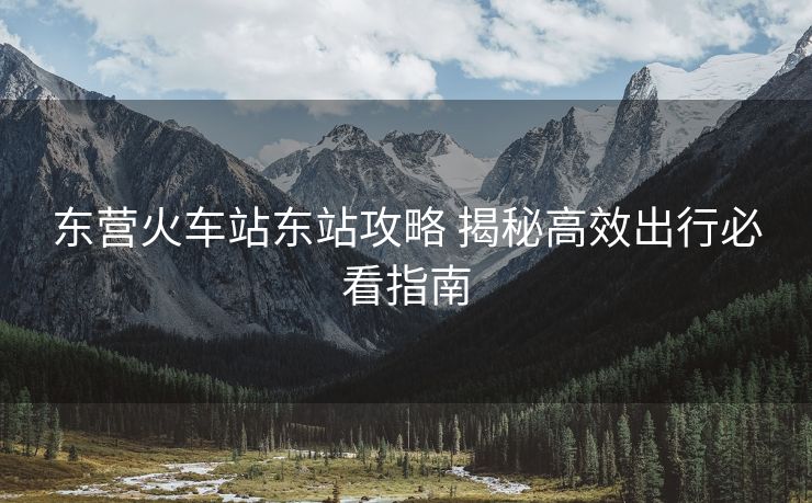 东营火车站东站攻略 揭秘高效出行必看指南