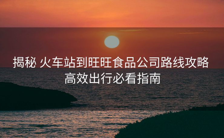 揭秘 火车站到旺旺食品公司路线攻略 高效出行必看指南