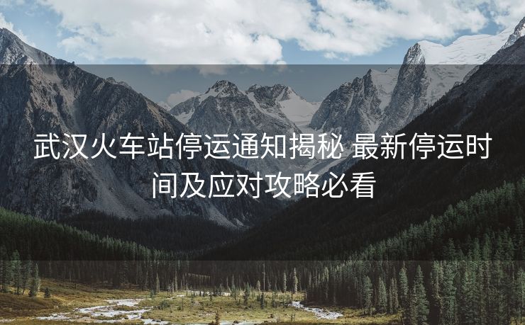 武汉火车站停运通知揭秘 最新停运时间及应对攻略必看