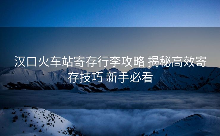 汉口火车站寄存行李攻略 揭秘高效寄存技巧 新手必看