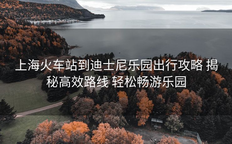 上海火车站到迪士尼乐园出行攻略 揭秘高效路线 轻松畅游乐园
